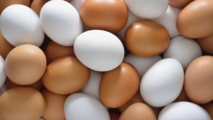 Yumurta Fiyatlarında Sonbahar Hareketliliği: Mevsim Geçişiyle Birlikte Fiyatlar Hızla Arttı