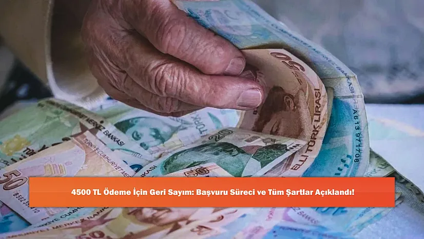 4500 TL Ödeme İçin Geri Sayım: Başvuru Süreci ve Tüm Şartlar Açıklandı!