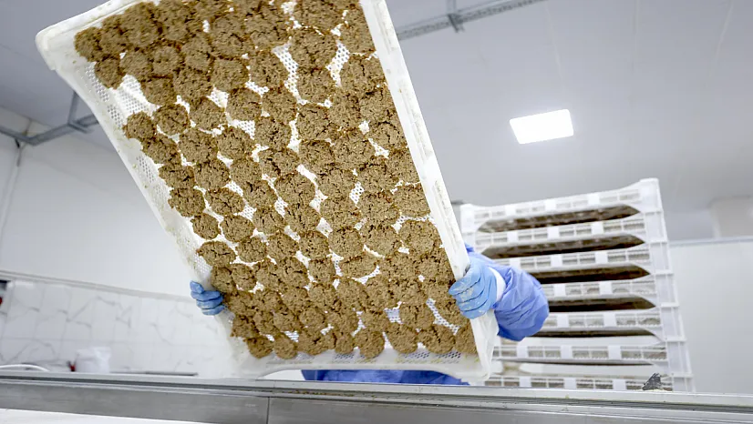 81 Yıllık Gelenek! Malatya Tarhanası Dünyaya Açılıyor