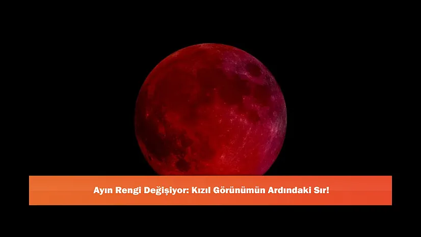 Ayın Rengi Değişiyor: Kızıl Görünümün Ardındaki Sır!