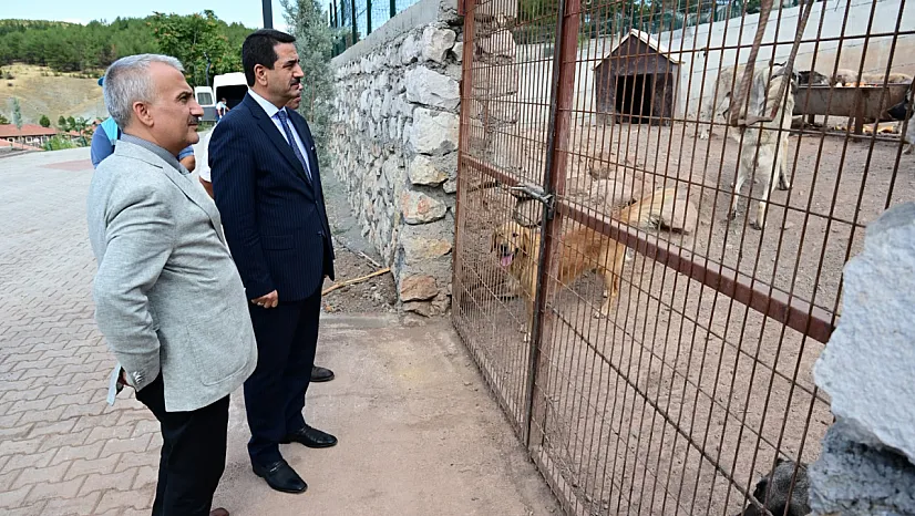 Battalgazi'de Sahipsiz Hayvan Kalmadı! 850 Kapasiteli Tesiste Yeni Dönem