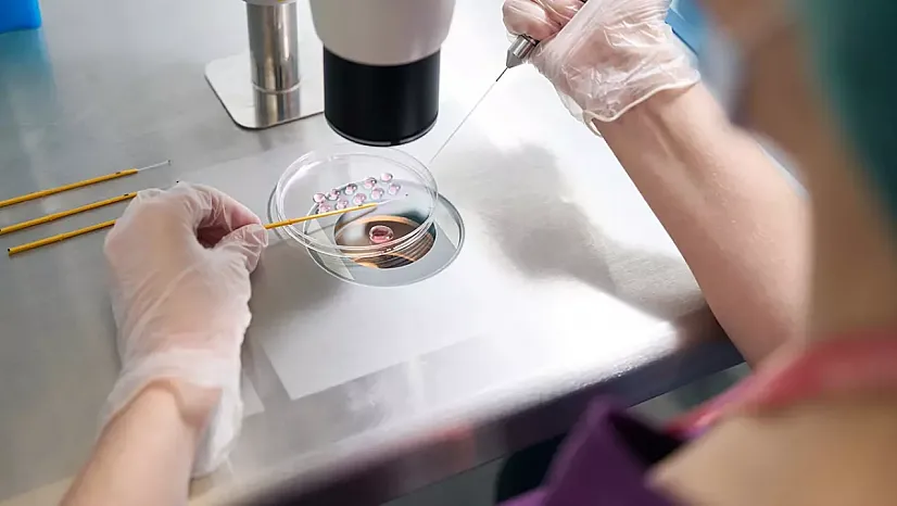 Bilim Dünyasında Devrim: Yaşlanan Hücreler 'Nanoflower' Teknolojisiyle Yeniden Gençleştirilebilir!