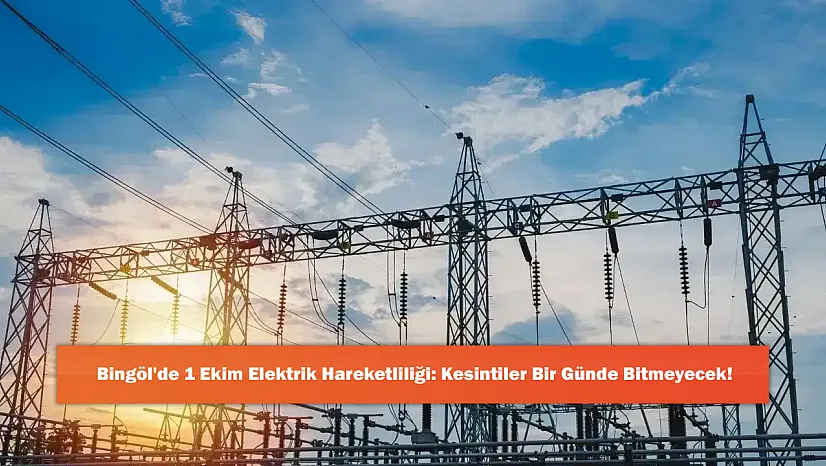 Bingöl'de 1 Ekim Elektrik Hareketliliği: Kesintiler Bir Günde Bitmeyecek!