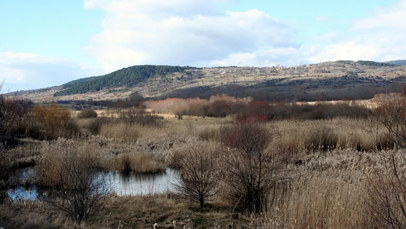 Binlerce Yıllık Karbon Havaya Karışıyor!