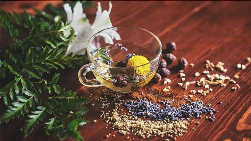 Bitki Koruma Ürünlerinde Elektronik Takip Zorunluluğu