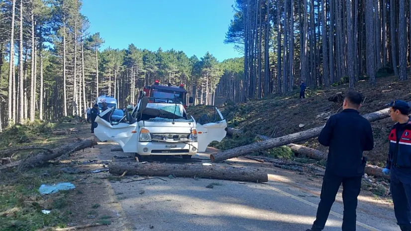 Bursa'da Orman Yolunda Üzerine Ağaç Devrilen Kamyonet Sürücüsü Can Verdi!