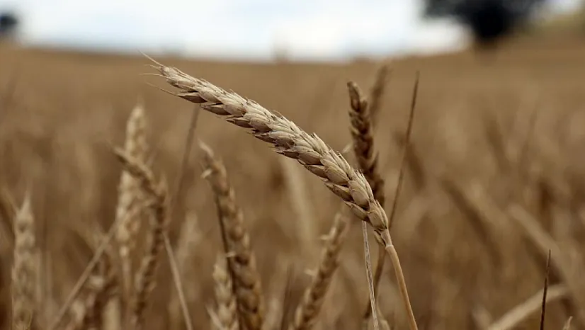 Çiftçilerin Beklediği Ödeme Başladı!