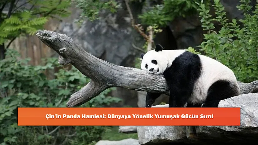 Çin'in Panda Hamlesi: Dünyaya Yönelik Yumuşak Gücün Sırrı!