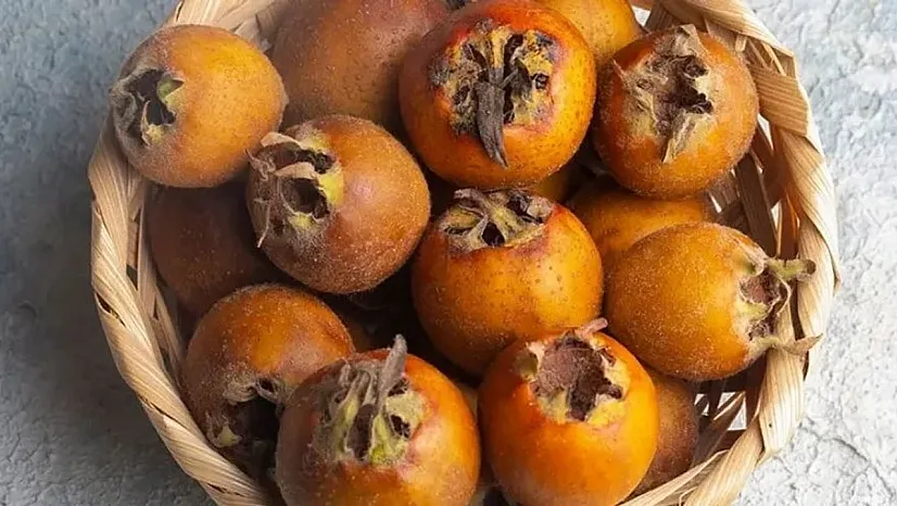 Doğanın Mucizevi Kış İlacı Muşmula ve Sağlık Üzerindeki Muazzam Etkileri