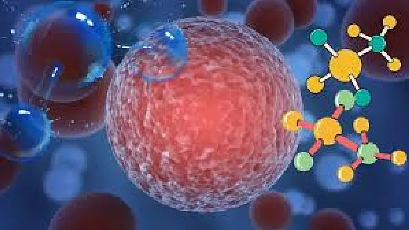 Kanserle Savaşta Tarihi Dönemeç: Dünya Ölüm Oranlarını İlk Kez Bu Kadar Hızlı Düşürüyor