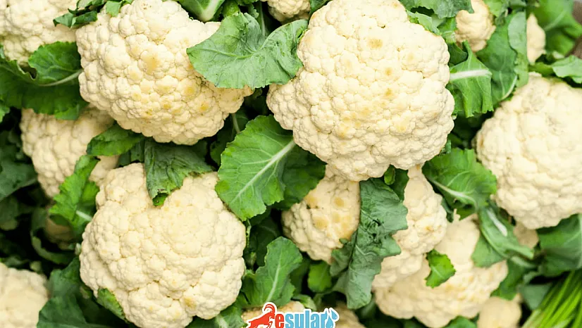 Karnabahar Lezzetli Ama Gaz Yapıyor: Çözümü Sandığınızdan Daha Kolay