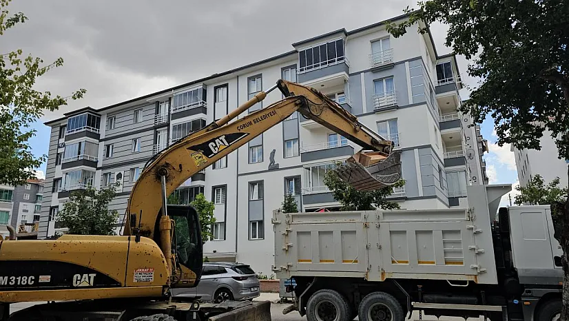 Mahalle Yıllardır Bu Kokuyu Çekiyordu! Belediye Ekipleri Seferber Oldu