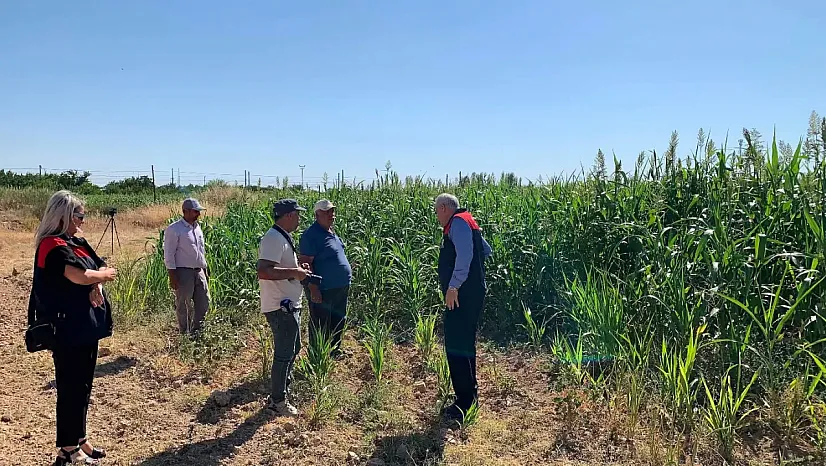 Malatya'da Hayvancılığı Değiştirecek Proje! Tarlalarda İlk Sonuçlar Geldi