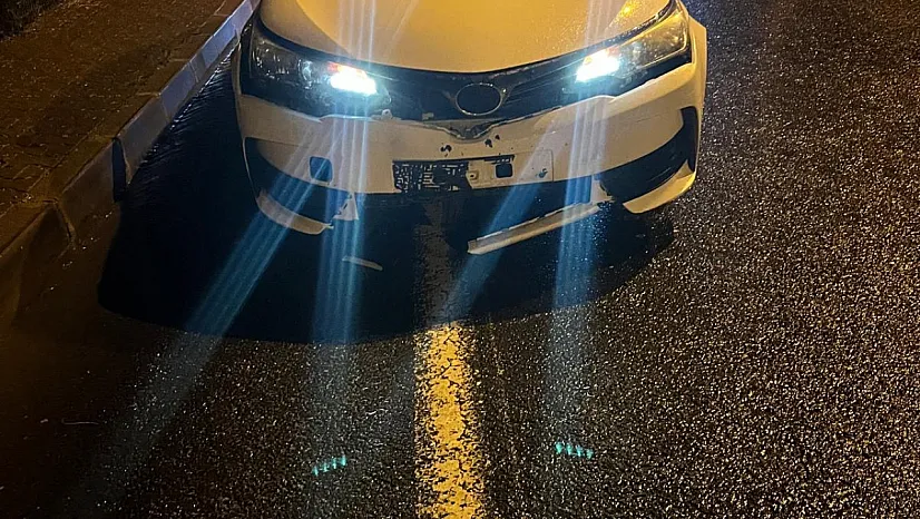 Malatya'da Yola İnen Kurt Kazaya Sebep Oldu! Araç Kullanılamaz Hale Geldi