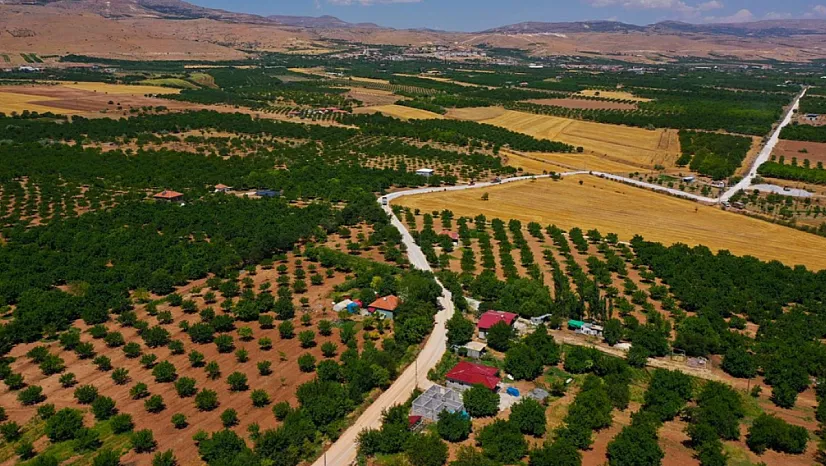 Malatya'nın Gelişmişlik Endeksi ve Genel Sıralamadaki Yeri