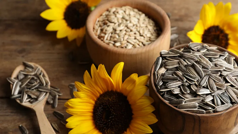 Market Raflarında Tehlike! Türkiye Markalı Ürünler Toplatılıyor