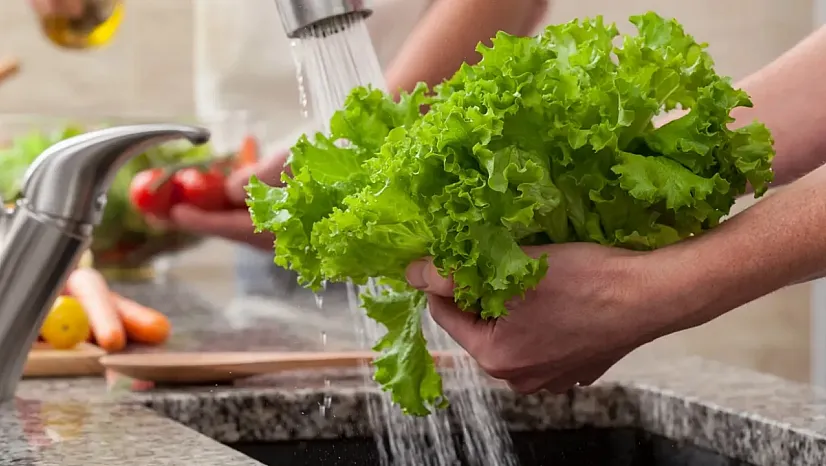 Marulu Sirkeli Suda Bekletmek Sandığınız Kadar Temizlemiyor! Uzmanlardan Şaşırtan Uyarı
