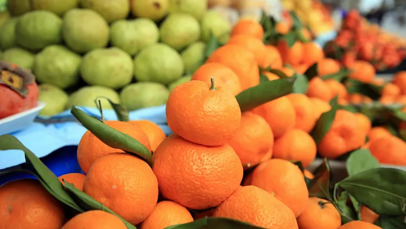 Narenciyede İhracat Rekoru! 1,1 Milyar Dolarlık Turuncu Başarı!