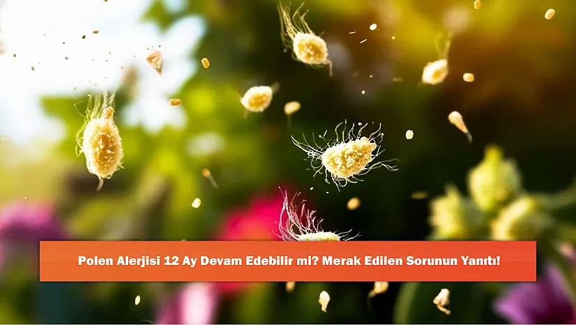 Polen Alerjisi 12 Ay Devam Edebilir mi? Merak Edilen Sorunun Yanıtı!