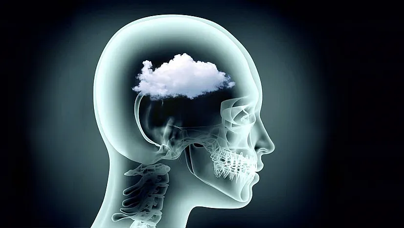 Uzmanlardan Kritik Uyarı: Tabağınızdaki Bazı Yiyecekler Beyin Sisine Yol Açabilir