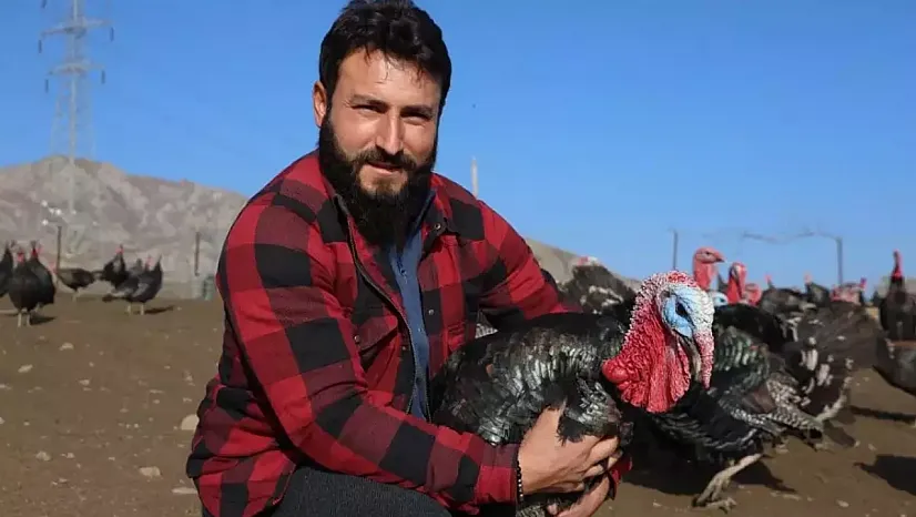 Yurtdışından Dönen Girişimci Memleketinde Kurduğu Hindi Çiftliğiyle Yılbaşı Öncesi Hareketlilik Yaşıyor