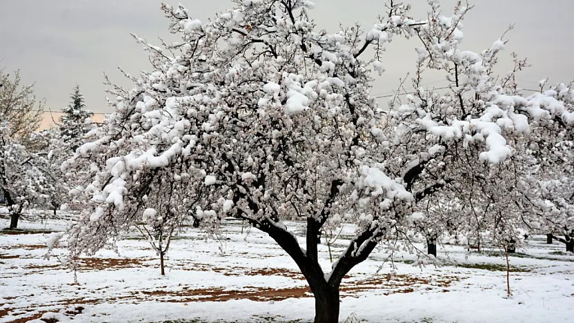 Çiftçilerin Dikkatine! Son Gün 31 Aralık