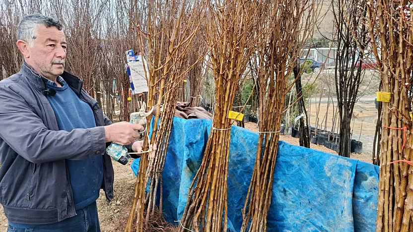 Darende'de Fidan Mesaisi Başladı: Çamura Rağmen Kayısıdan Vazgeçmiyorlar