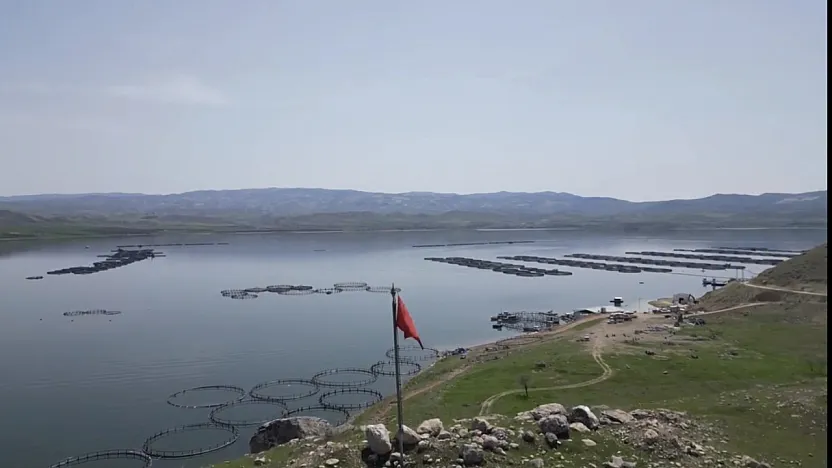 Hangi Sektör Malatya'yı Şahlandırıyor? İşte 7 Bin 500 Tonluk O Başarı Hikayesi