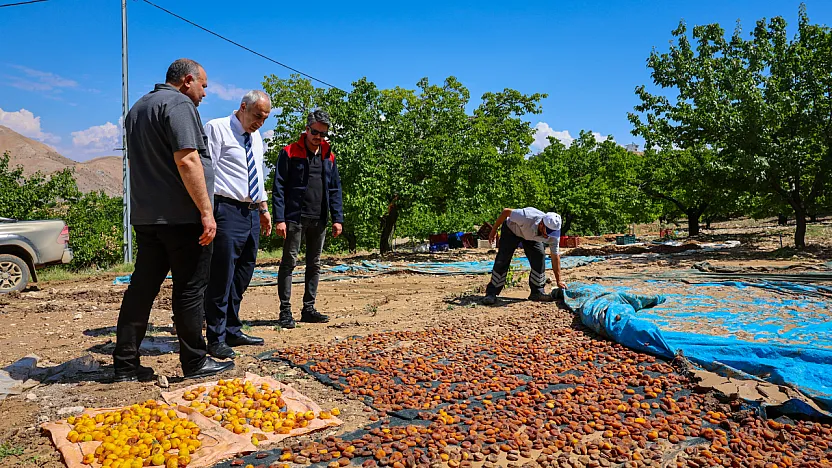 Hekimhan'da Ekipler Tarlalarda Hasar Tespitine Başladı!