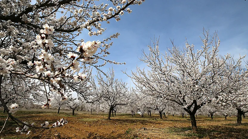 Kayısının Başkenti Malatya'da Doğa Her Mevsim Yeniden Canlanıyor!