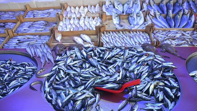Balık Pazarı'nda Sürpriz Tercih: Favori Belli Oldu