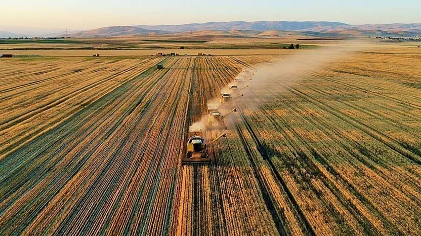 Malatya Çiftçisi Alarm Veriyor! Meyve ve Sebzede Büyük Kayıp!