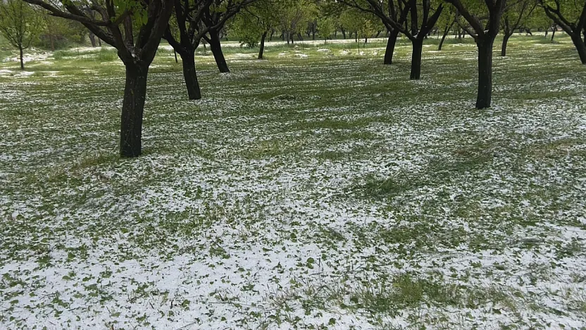Malatya'da 10 Dakikalık Dolu Kabusu! Yollar Beyaza Büründü, Tarım Arazileri Zarar Gördü