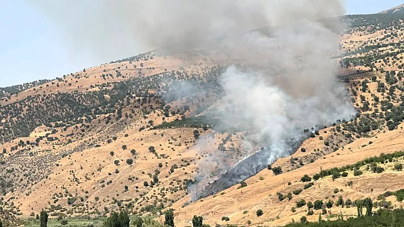 Malatya'da Alevler Ormanlık Alana Sıçradı! Müdahale Sürüyor