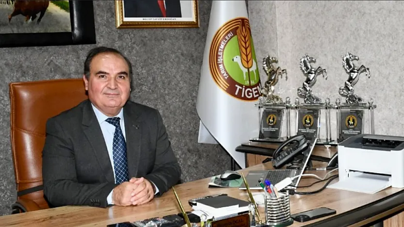 Malatya'da At Skandalında İlk Fatura Kesildi: Müdür ve İşçiler Görevden Alındı!