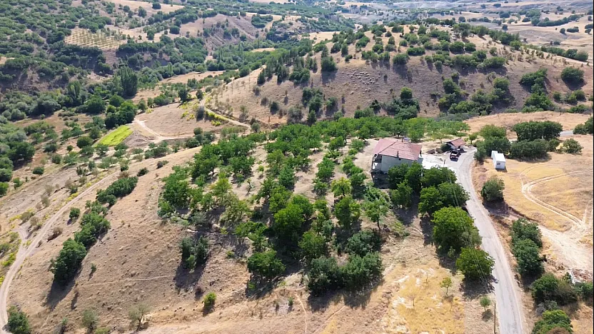 Malatya'da Doktorluğu Bıraktı, Köyüne Döndü! Şimdi Kayısı Yerine Bunu Üretiyor