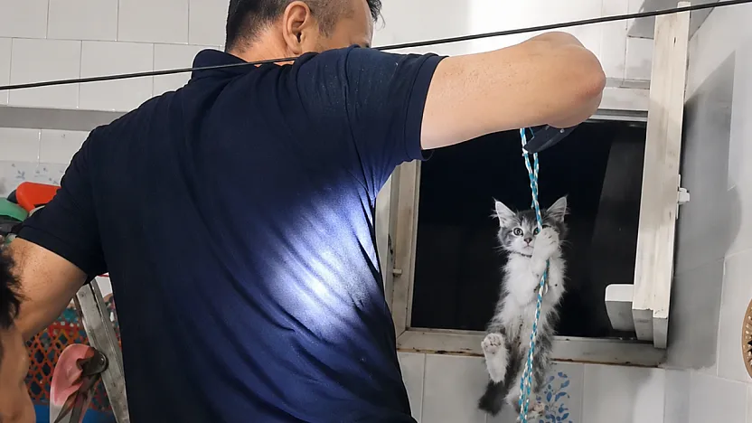 Malatya'da Havalandırma Boşluğundaki Minik Can Kurtuldu!