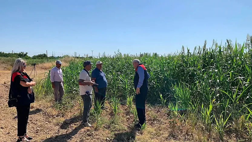 Malatya'da Hayvancılığı Değiştirecek Proje! Tarlalarda İlk Sonuçlar Geldi