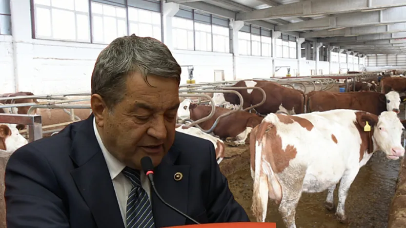 Malatya'da Hayvancılık Alarmı: Vaatler Havada Kaldı, Besici İsyanda!