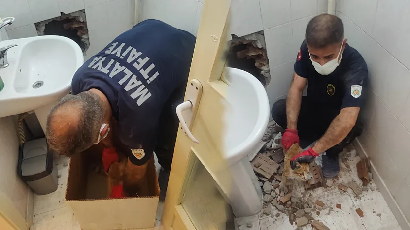 Malatya'da İki Bina Arasında Mahsur Kalan Kedi Kurtarıldı!