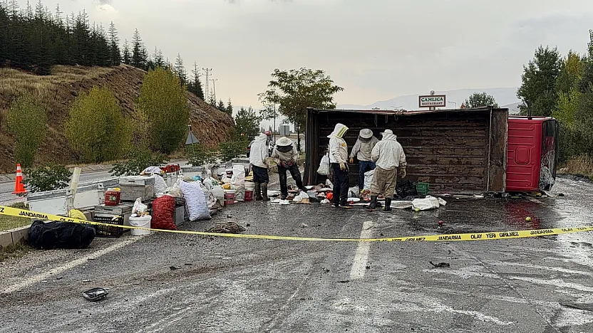 Malatya'da Kamyon Devrildi, Arılar Ortalığı Sardı! 3 Yaralı