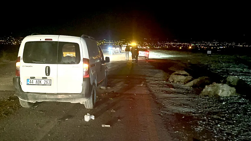 Malatya'da Katliam Gibi Kaza: 12 Koyun Telef Oldu