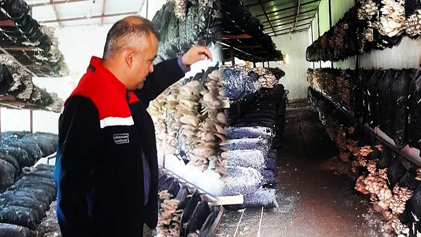 Malatya'da Mantar Üretiminde Denetim Sonucu Açıklandı!