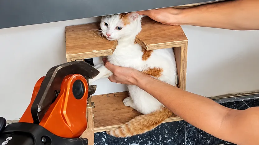 Malatya'da Minik Kedi İçin Kurtarma Operasyonu!