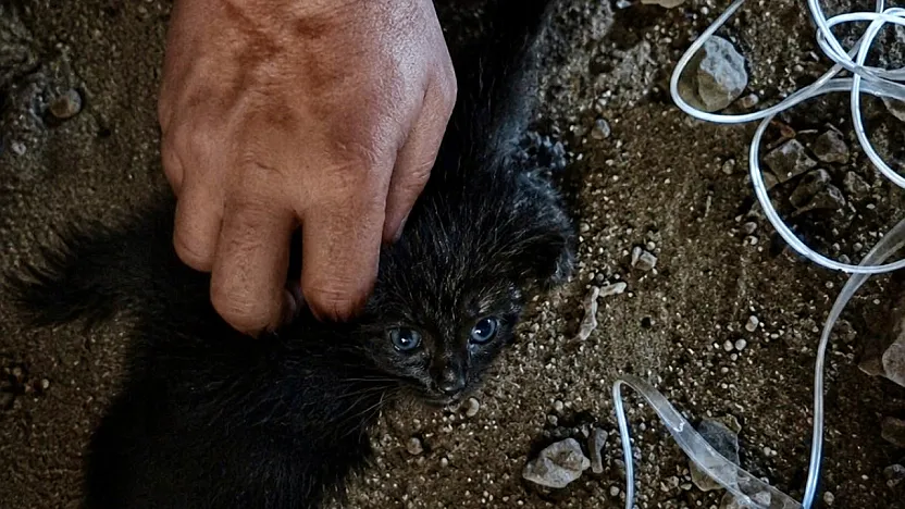 Malatya'da Nefes Kesen Kurtarma! Baca Boşluğunda Mahsur Kalmıştı