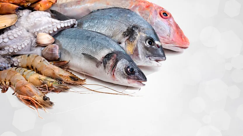 Malatya'da Oltalar Rafa Kalkıyor: 1 Nisan'da Başlayan Yasak Kimleri Kapsıyor?