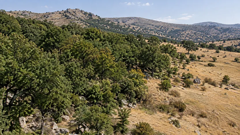 Malatya'da Orman Sınırları Değişti! 2 Bin 788 Metrekarelik Alan İçin Karar