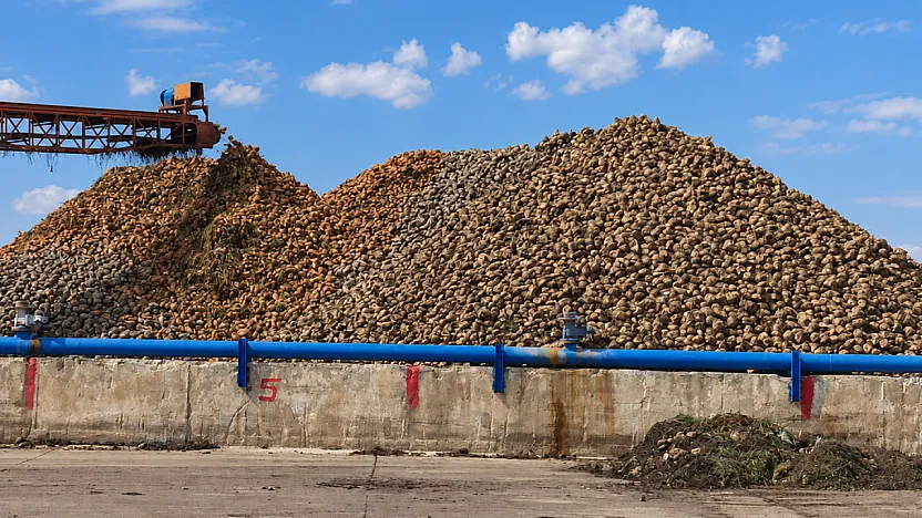 Malatya'da Şeker Üretiminde Yeni Sezonun Rakamları Belli Oldu!