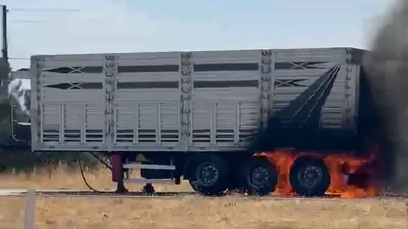 Malatya'da Seyir Halindeki Tır Bir Anda Alevlere Teslim Oldu!