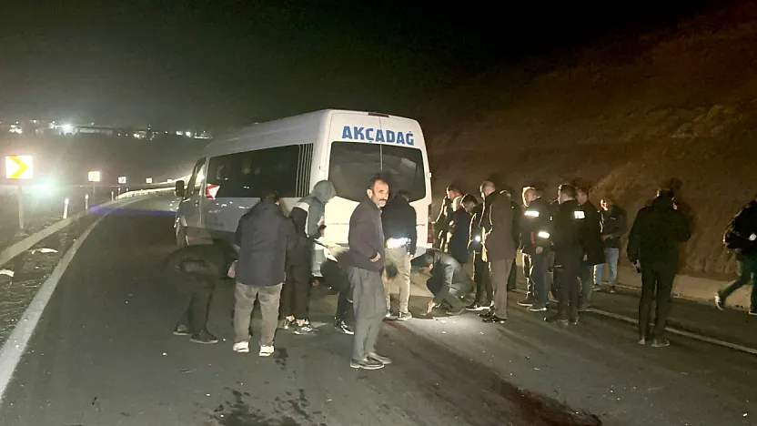 Malatya'da Tay Dehşeti: 6 Tay Telef Oldu, 4 Yaralı